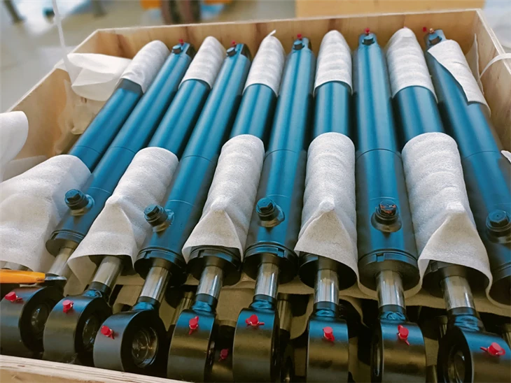 Rotary Drilling Variable Amplitude Cylinder